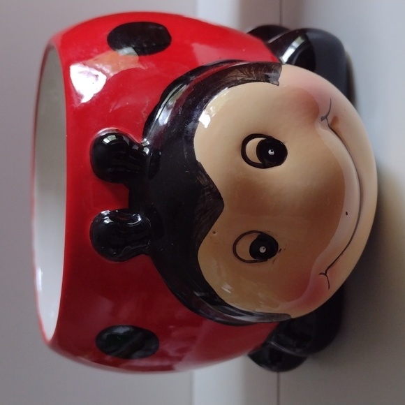 Two Planters Lady Bug & Orange cacti planter - Picture 3 of 6